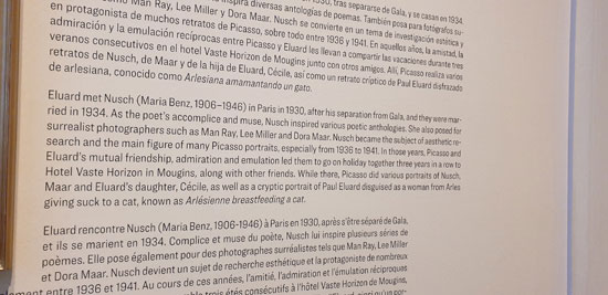 متحف بيكاسو (23)