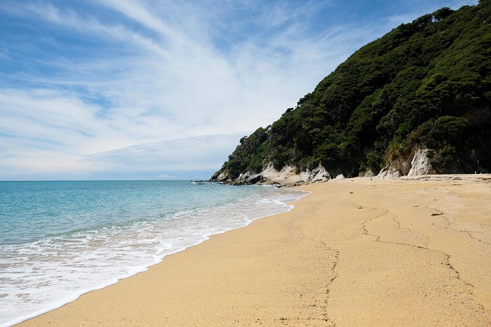 شاطئ المحمية الطبيعية فى نيوزيلندا