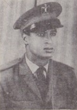 الغزال الاسمر الغزال الاسمر