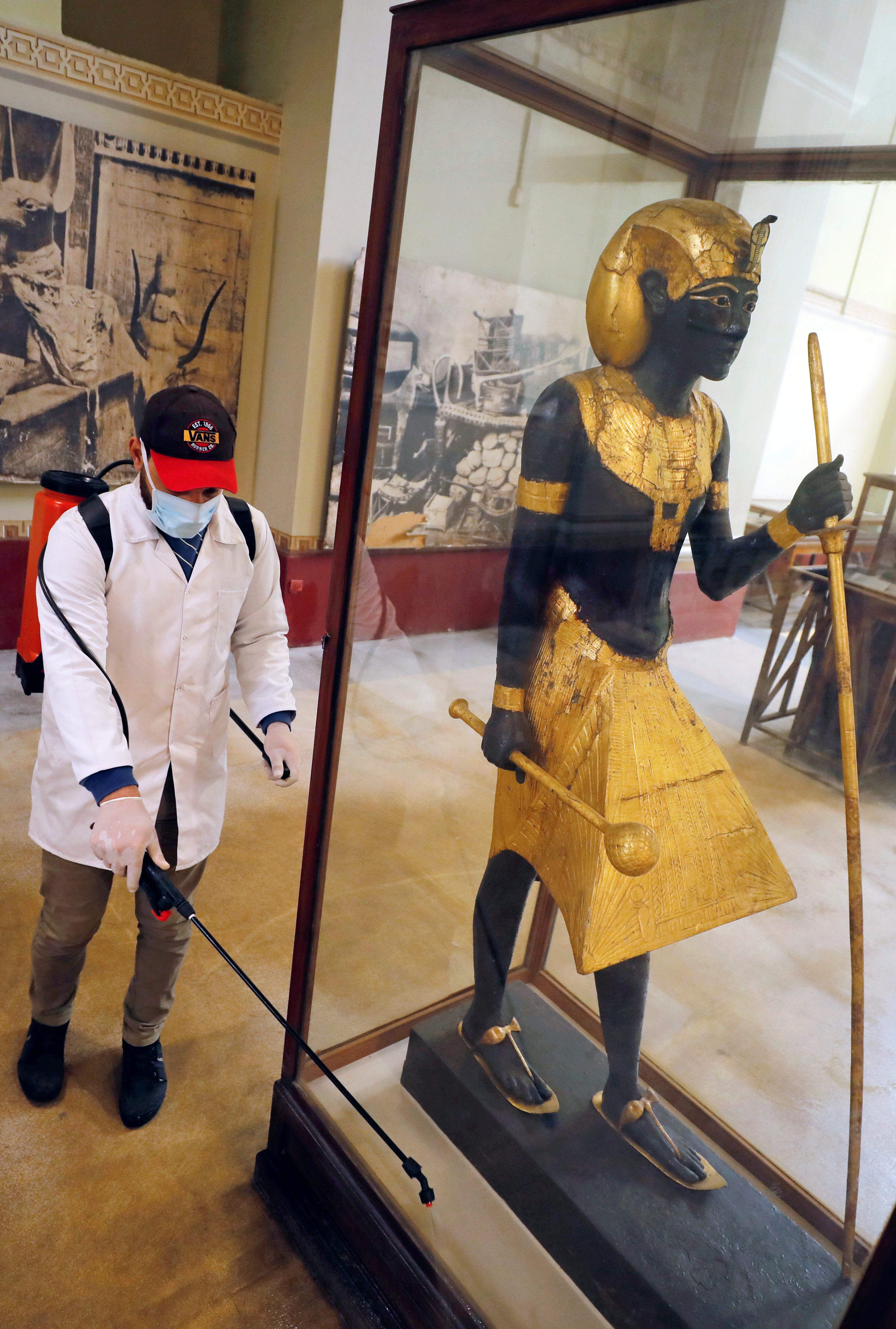 حملة تطهير وتعقيم المتحف المصرى بالتحرير  (3)