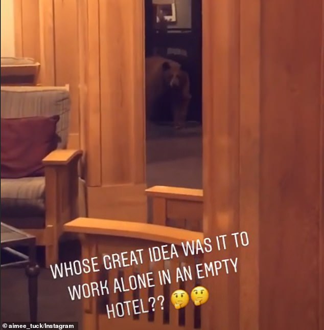 الدب خلال دخول الفندق