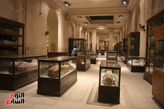 المتحف المصرى (9)