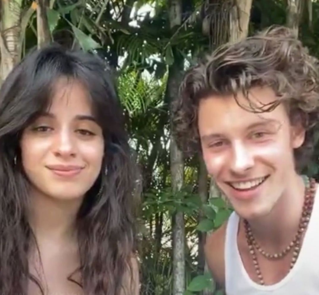 Camila Cabello and Shawn Mendes