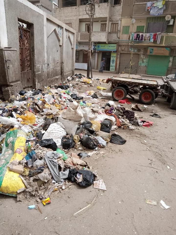 حملات رفع القمامة بجرجا (4) (1)