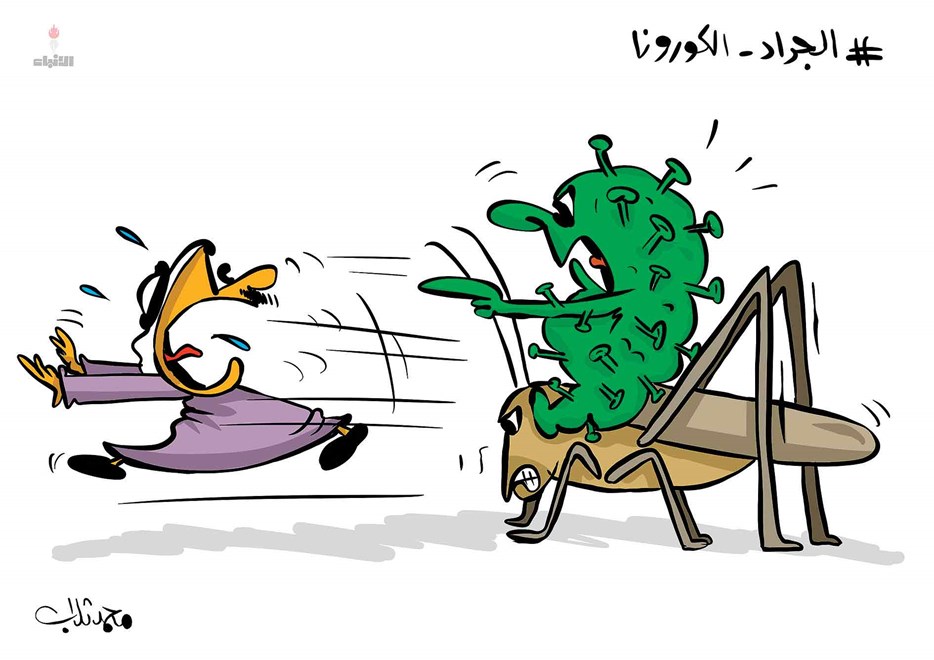 كورونا يستغل الجراد فى التنقل بالكويت كورونا يستغل الجراد فى التنقل بالكويت