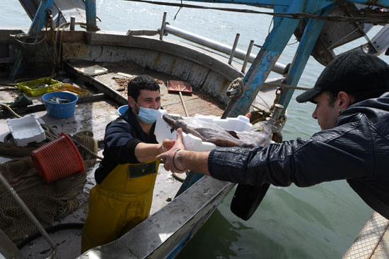 صياد-يقدم-صندوق-سمك-قرب-روما-لإرساله-للمحتاجين-المتضررين-من-كورونا