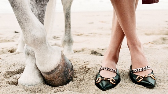 حذاء جوتشي مع الحصان