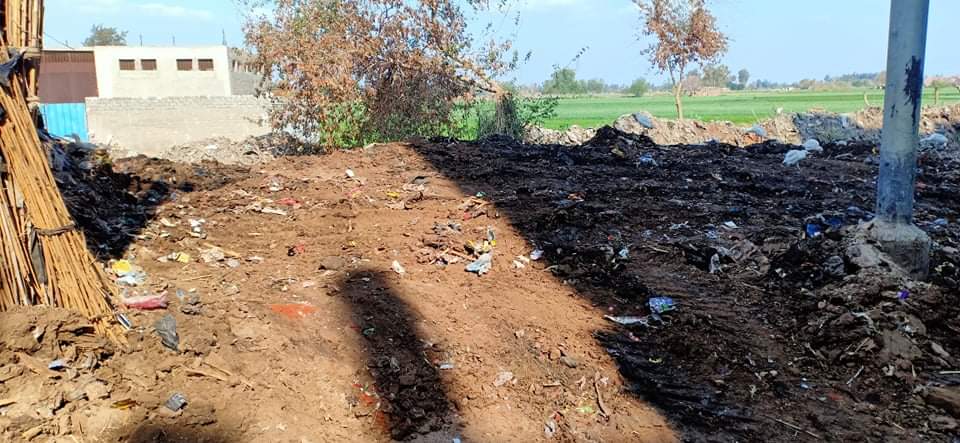 رفع تراكمات القمامة بقرية عشما فى المنوفية (3)