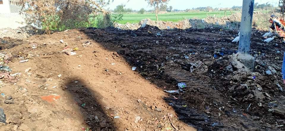 رفع تراكمات القمامة بقرية عشما فى المنوفية (5)