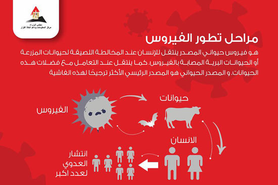 إنفوجراف عن كورونا وطرق انتقال العدوى والوقاية (4)