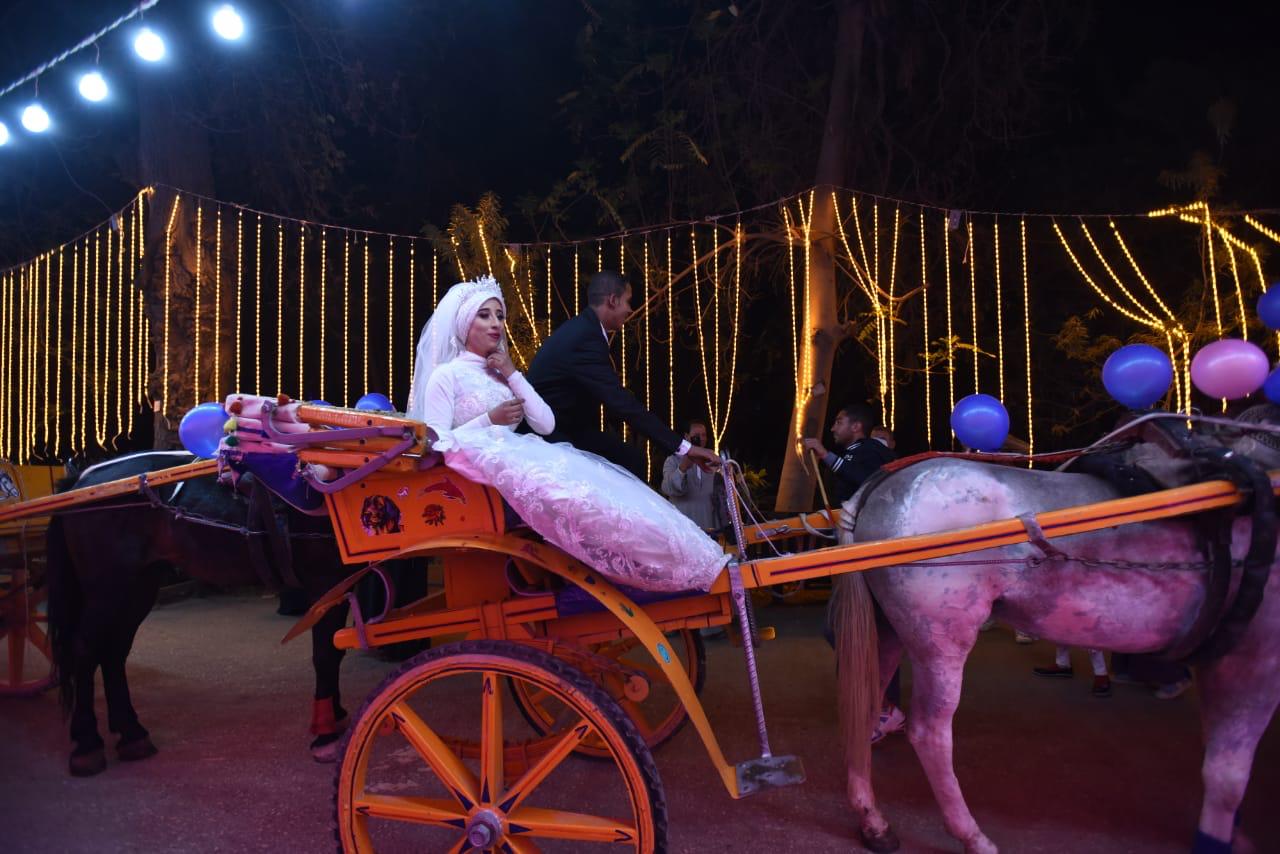 محافظة الجيزة تنظم حفل زواج جماعى لـ50 عروسة يتيمة (6)