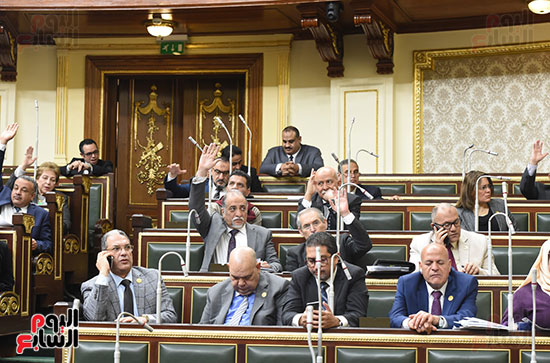 مجلس النواب (1)