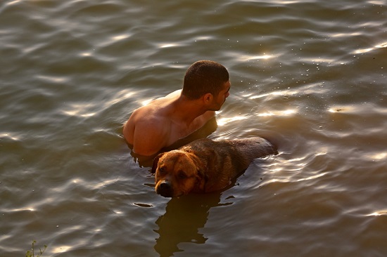 رجل يستحم مع كلبه