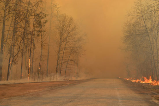 أشجارًا-محترقة-ودخان-كثيف-في-منطقة-الاستبعاد-حول-محطة-تشيرنوبيل