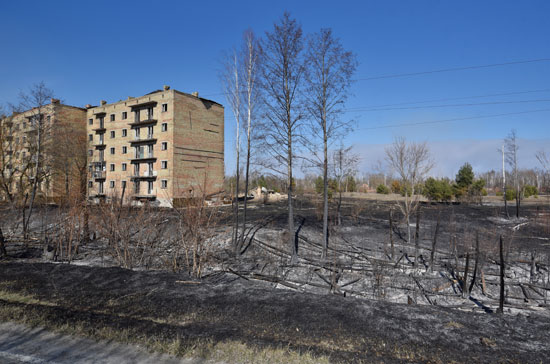 أشجار-محترقة-في-مستوطنة-بوليسكي-بعد-حريق-غابات--حول-محطة-تشيرنوبيل-للطاقة-النووية