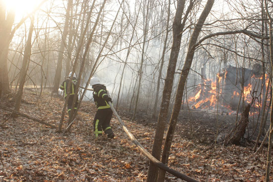 أشجار-محترقة-بعد-حريق-خارج-مستوطنة-بوليسكي-قرب-محطة-تشيرنوبيل