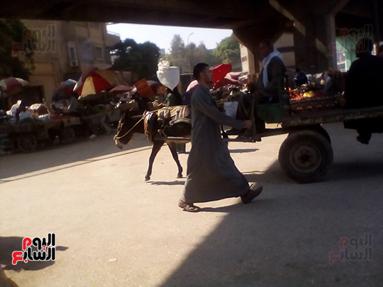 سوق-الحبشى-فى-المنيا-(2)