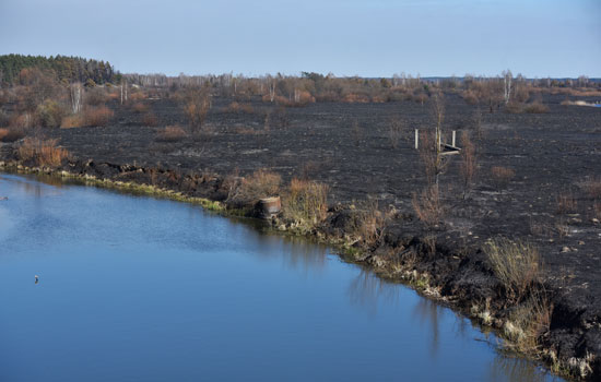 شجيرات وحشائش محترقة بعد حريق غابات خارج مستوطنة بوليسكي الواقعة في منطقة الحظر