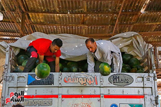 1 العمال اثناء تنزيل سيارة نقل البطيخ