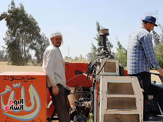 حصاد-القمح-فى-الشرقيه-(10)