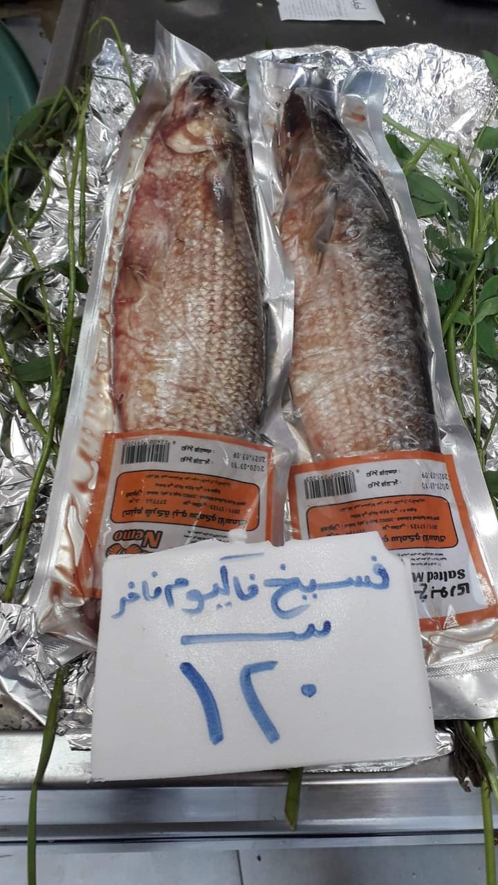 أسماك الشركة المصرية لتسويق الأسماك  (5)