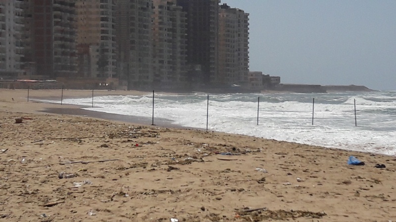 شواطئ الاسكندرية (10)