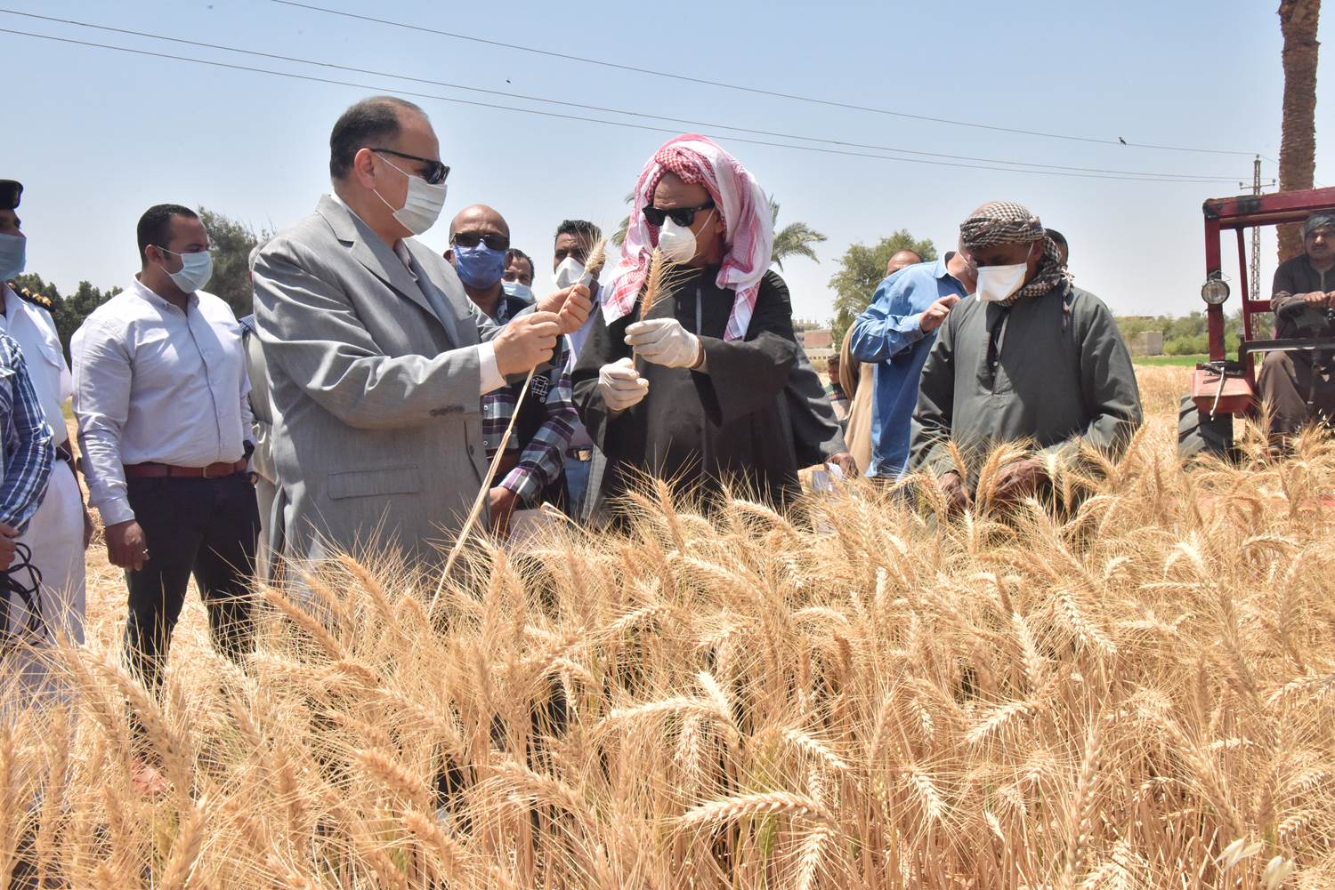 محافظ أسيوط يتفقد بدء حصاد محصول القمح بمركز أبنوب  (11)