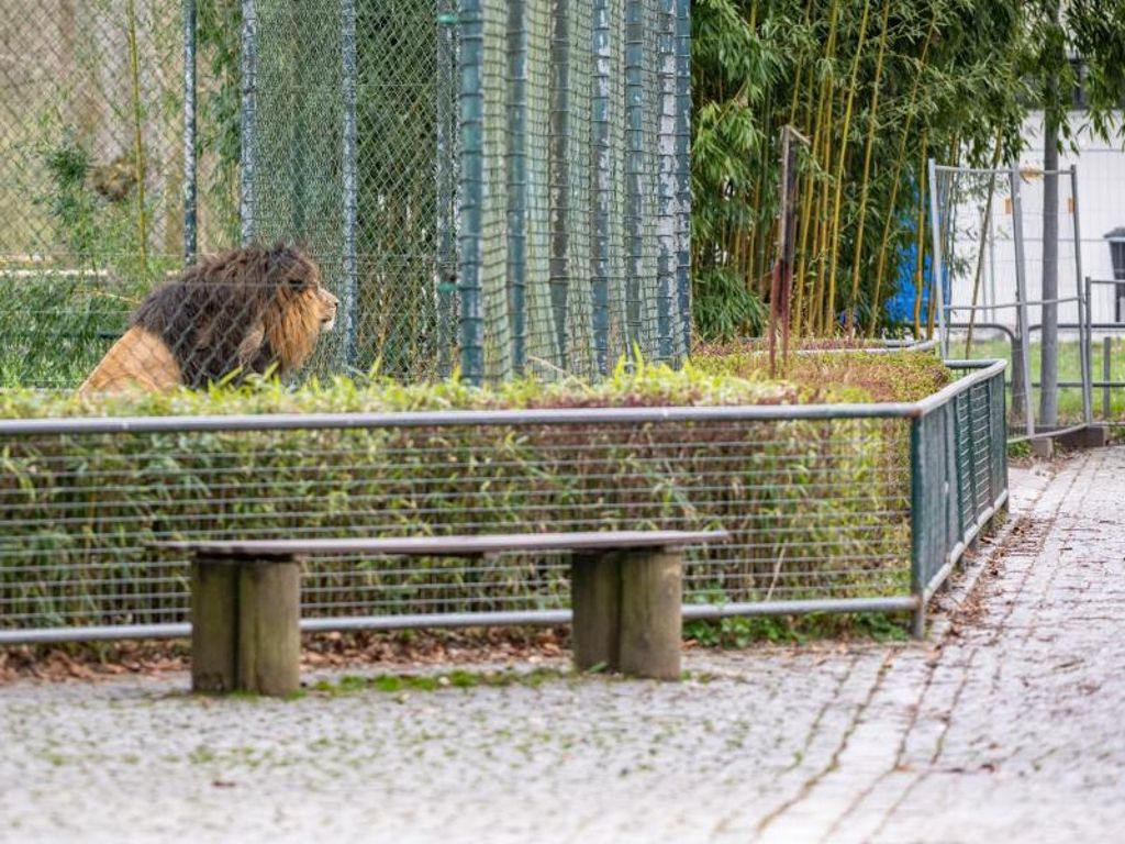 حديقة حيوان بألمانيا