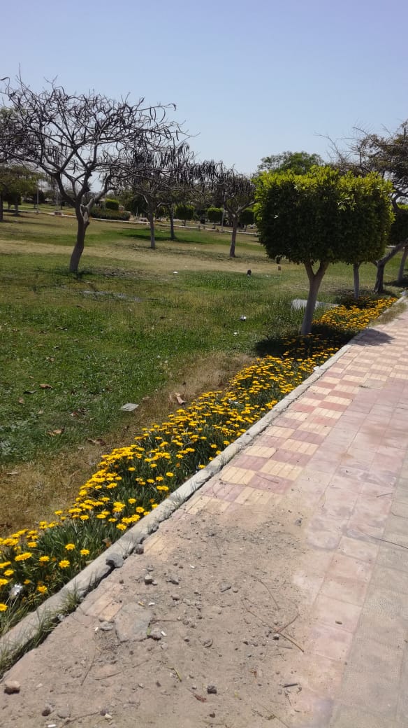 خلو الحدائق والمسطحات الخضراء بالشرقية من المواطنين (2)