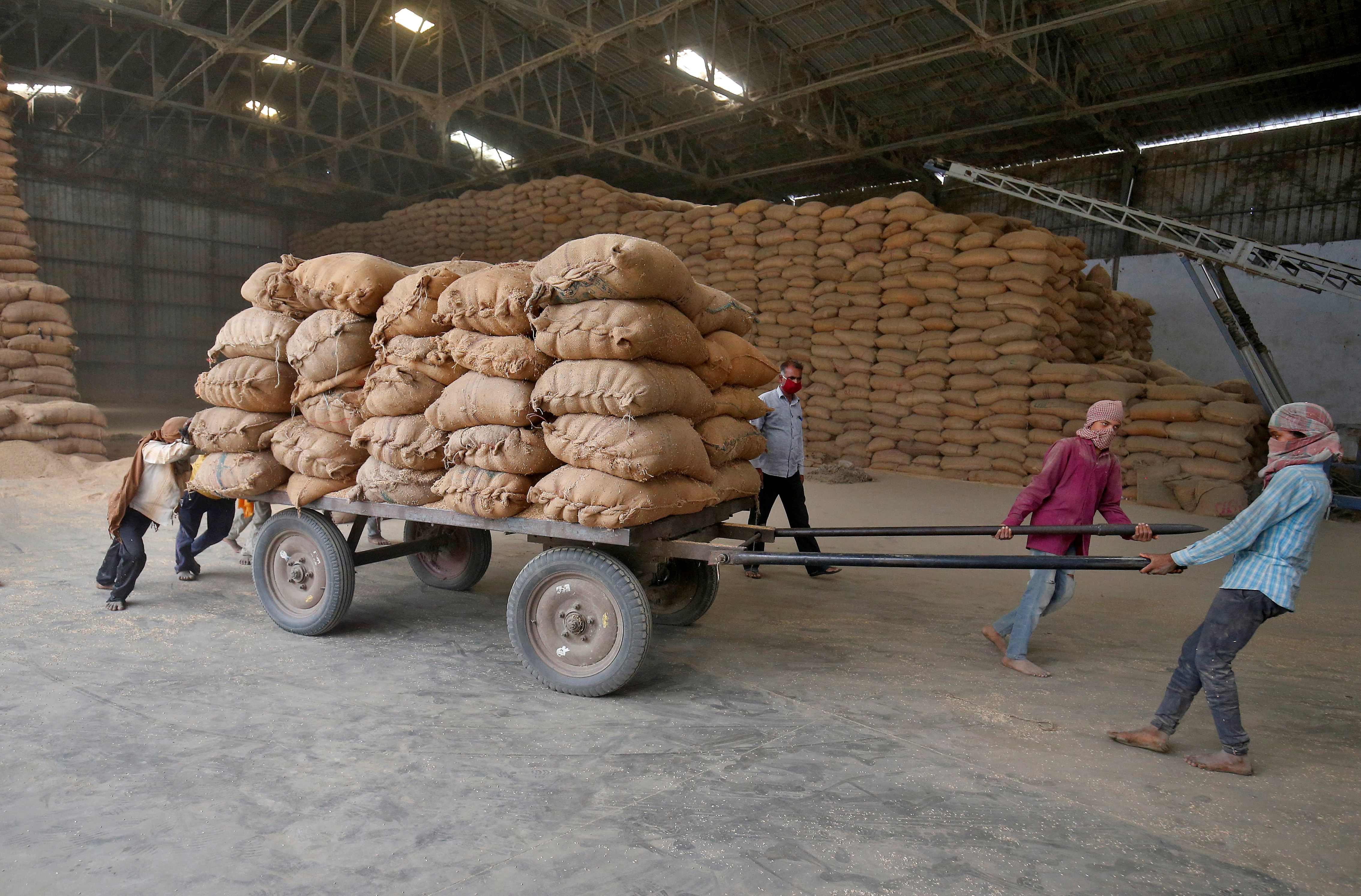 عمال ينقلون عربة محملة بأكياس أرز داخل وحدة معالجة الأغذية