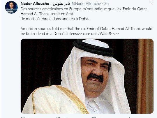 أمير قطر السابق حمد بن خليفة (3)