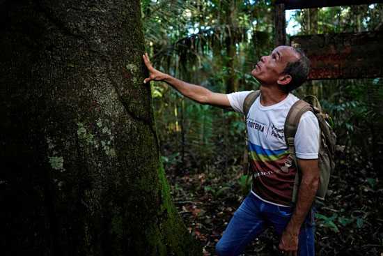برزايلى يحتفل بيوم الأرض مع الطبيعة