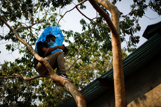 أحد طلاب السلفادور فوق شجرة للحصول على إشارة للإنترنت