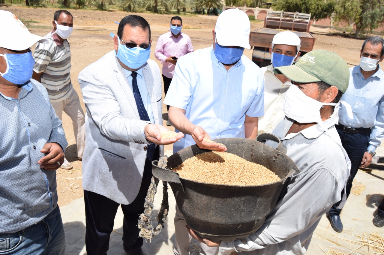 رئيس جامعة سوهاج وعميد كلية الزراعة يشاركون العمل فى حصاد القمح (5)