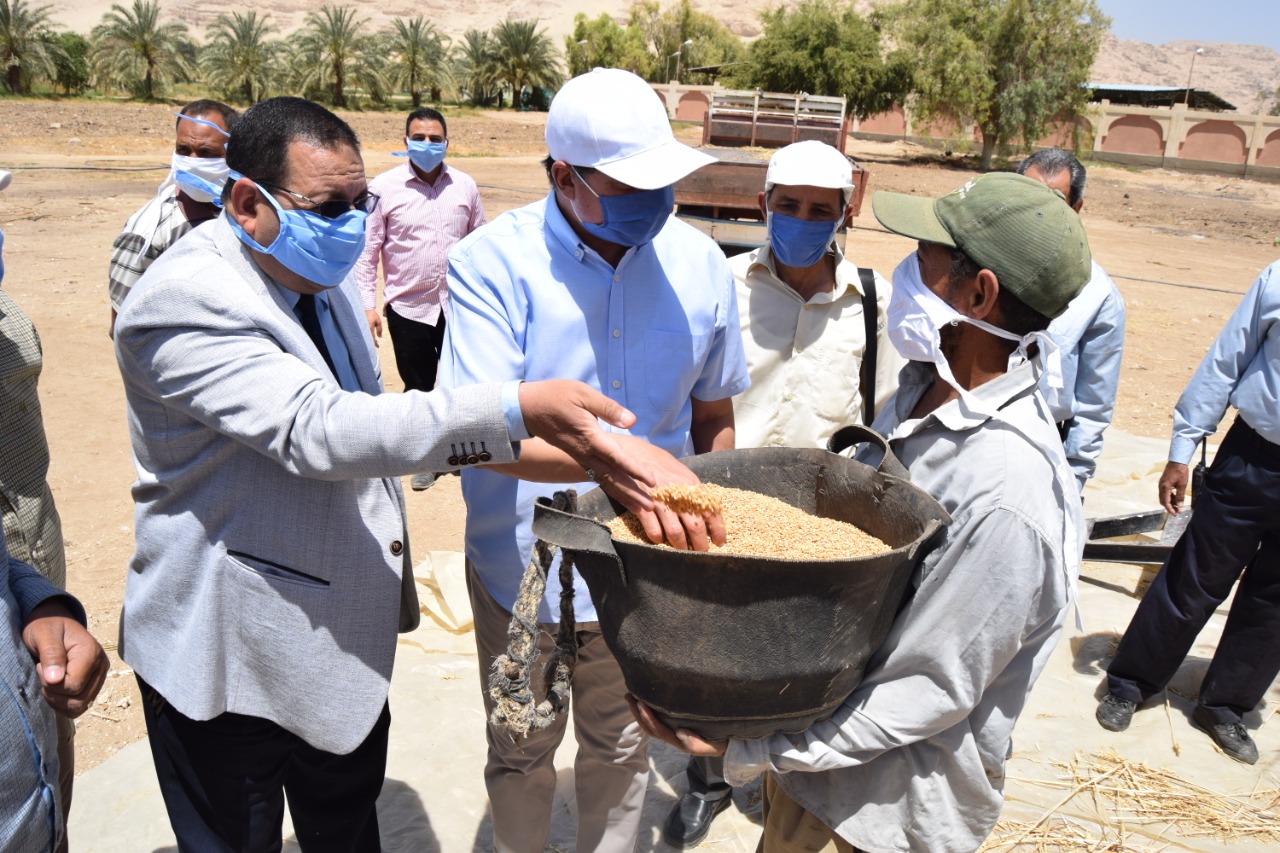 رئيس جامعة سوهاج وعميد كلية الزراعة يشاركون العمل فى حصاد القمح (8)