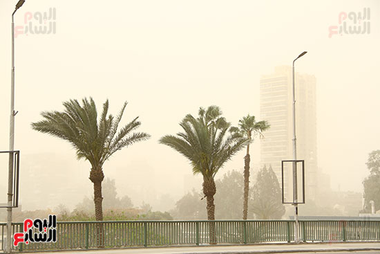 الطقس السيئ ورياح مثيرة للرمال والأتربة تحجب الرؤية بالقاهرة والمحافظات