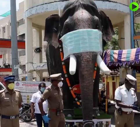 الفيل يظهر بالكمامة لتوعية المواطنين