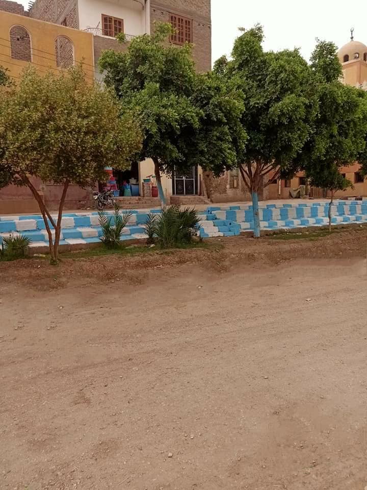 1 شباب نجع البهاجة بالكرنك يجملون شوارع منطقتهم بأيديهم لدعم الجميع