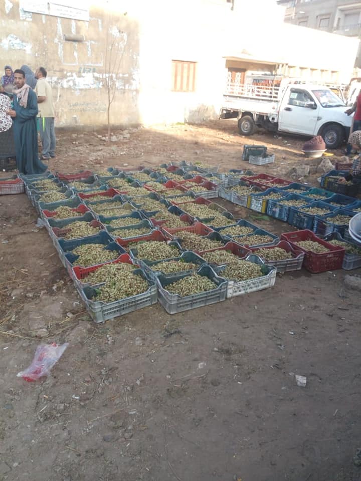 فض سوق التوت بقرية صرد بقطور وتفريق التجار (1)