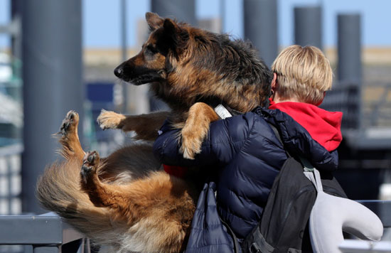 طالب يحتضن كلبه عقب وصوله هولندا