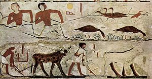 يوميات المصريين القدماء (1)