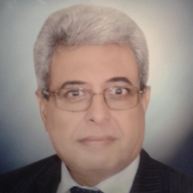 عادل ثابت نائب رئيس مجلس إدارة جلوبال التصنيع والتنمية