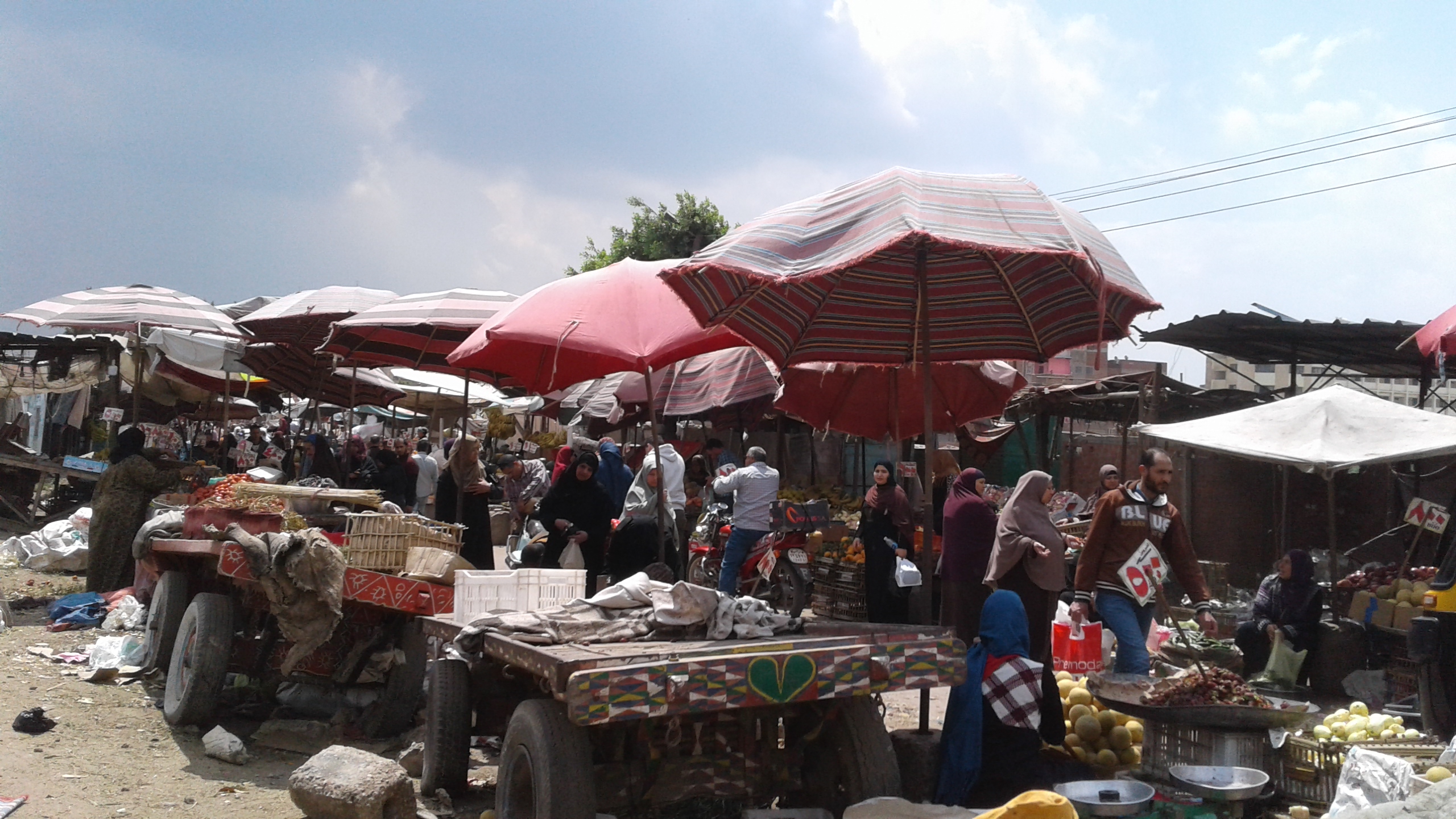 زحام داخل سوق شبين الكوم (1)