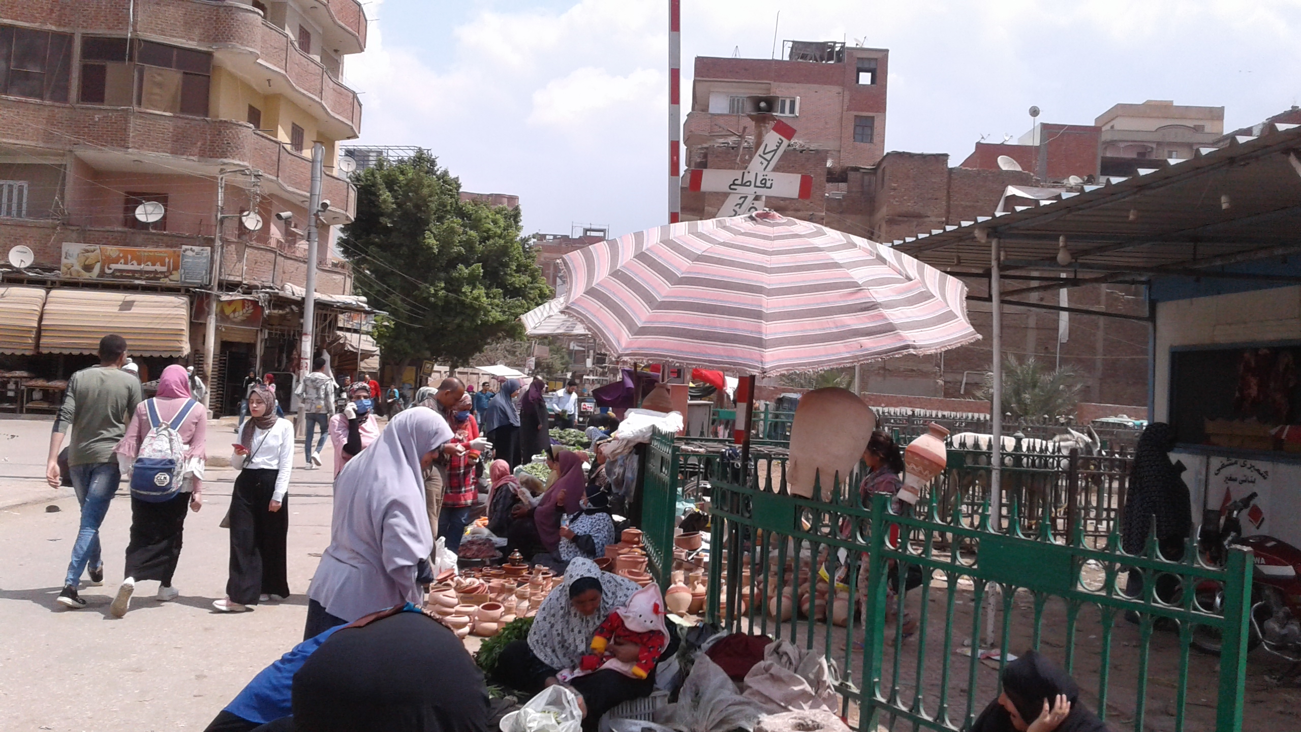 زحام داخل سوق شبين الكوم (5)