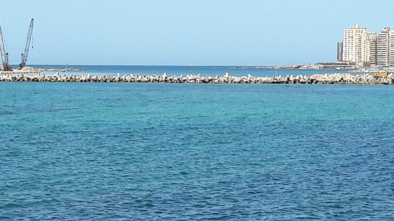 الطبيعة تتنفس على شواطئ الاسكندرية (2)