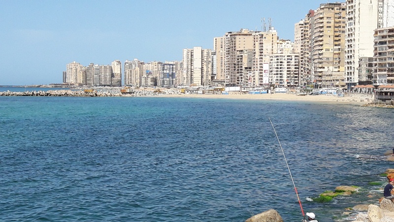 الطبيعة تتنفس على شواطئ الاسكندرية (6)