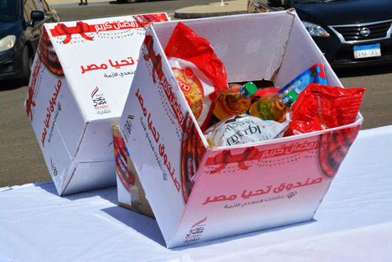 صندوق تحيا مصر يطلق قافلة مواد غذائية ومطهرات (14)