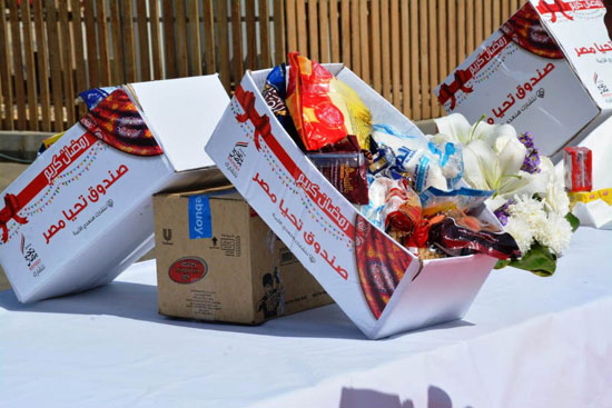 صندوق تحيا مصر يطلق قافلة مواد غذائية ومطهرات (15)