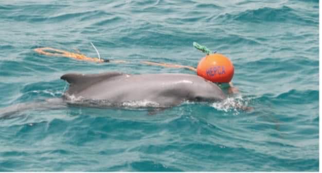 شواطئ البحر الأحمر (2)