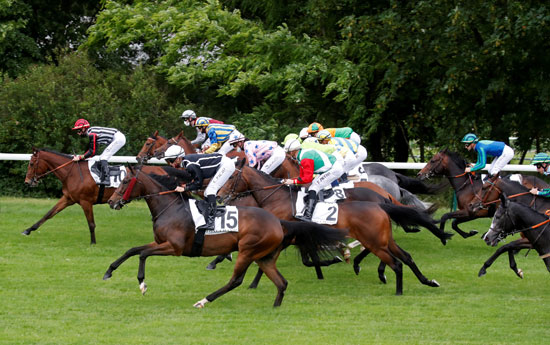 سباق الخيول فى فرنسا